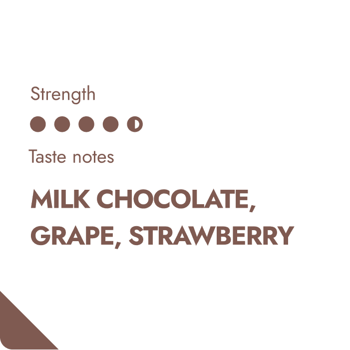 COLOMBIA COFFEEBREWER-1