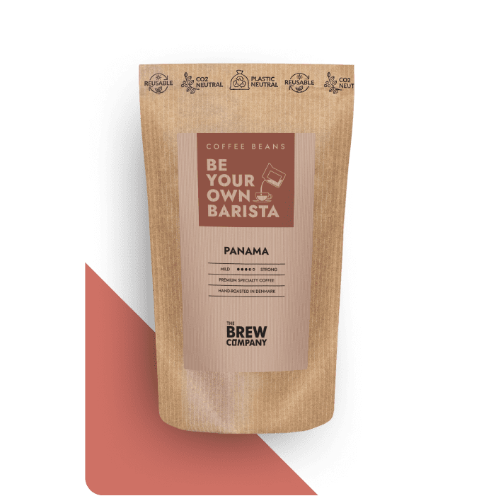 NICARAGUA SPECIALTY COFFEE BEANS-2